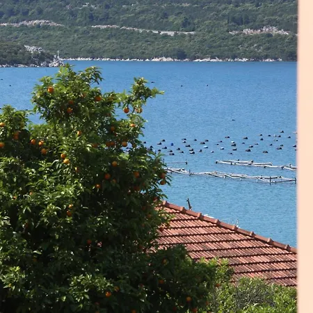 Roses Дом отдыха *