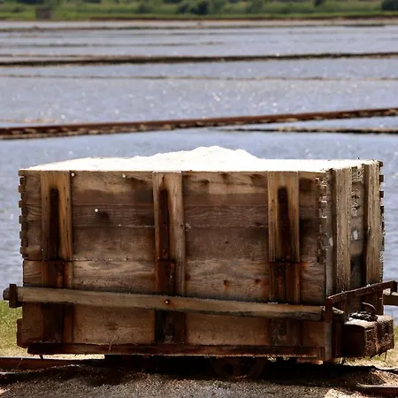 Roses Casa de Férias Ston